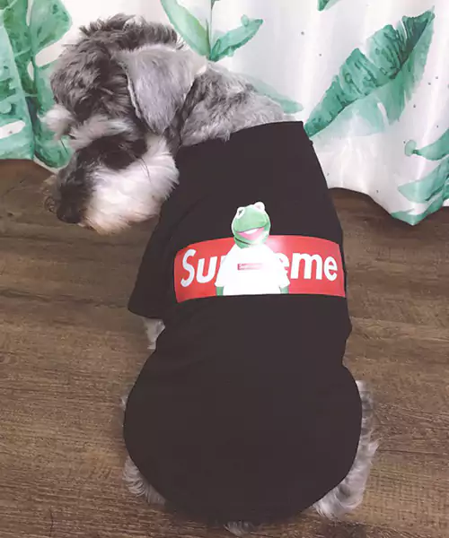 ブランド シュプリーム/Supreme  ペット用品	