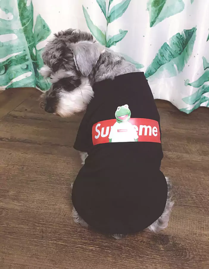 ブランド シュプリーム/Supreme  ペット用品	